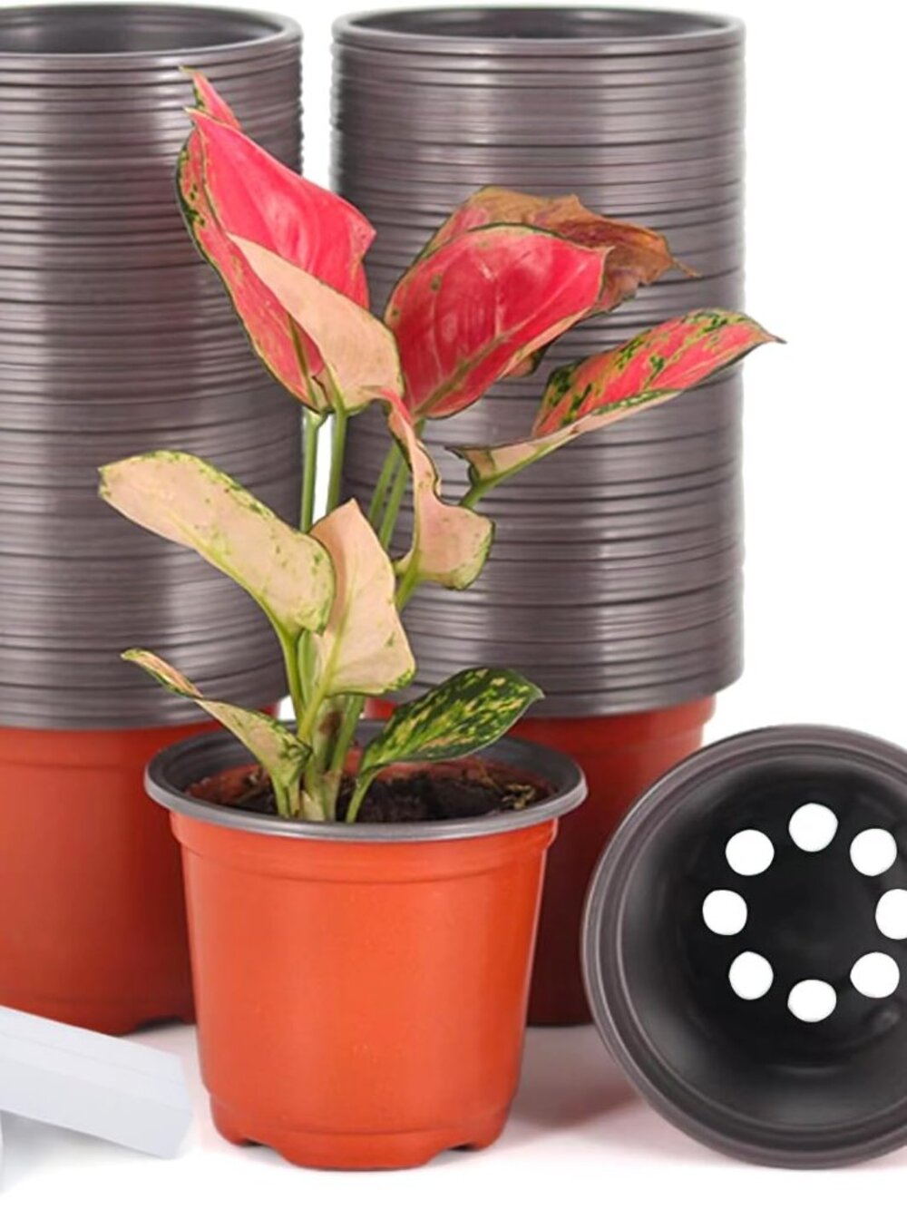 100-Pack 4 Inch Plastic Plant Nursery Pots Come with 100 Pcs Plant Labels, Seedl